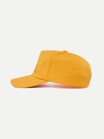 DJ Froggy Cap in Gold