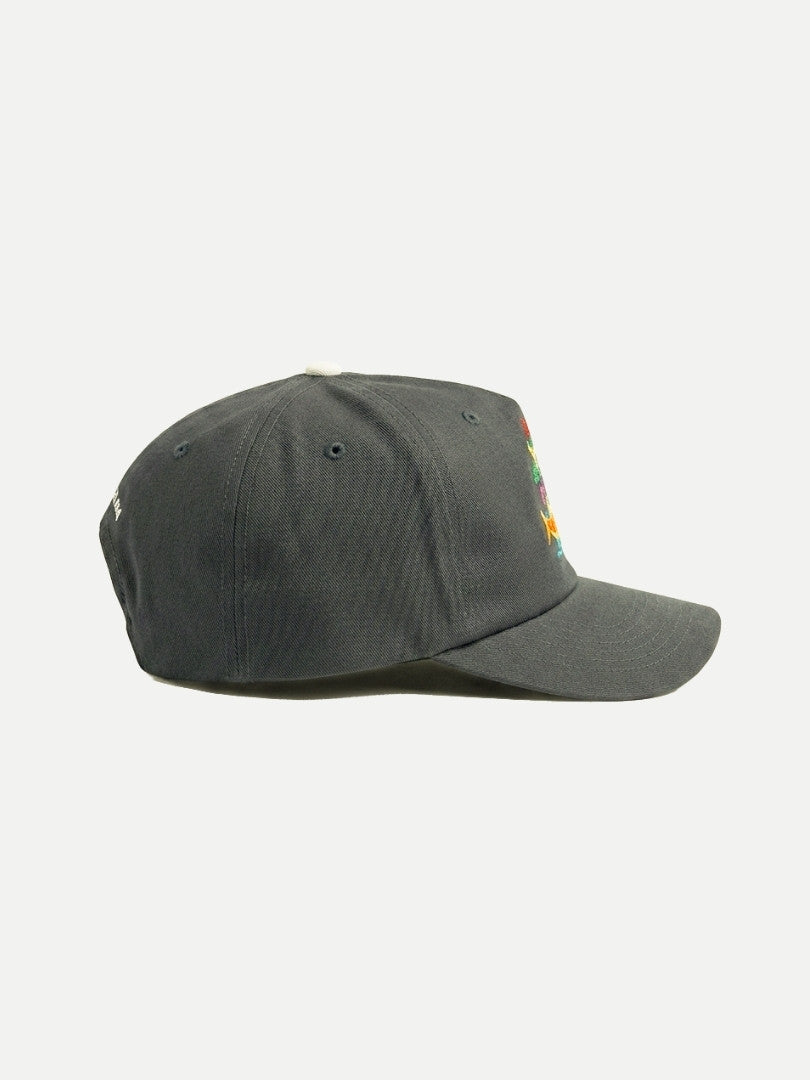 DJ Froggy Cap in Grey